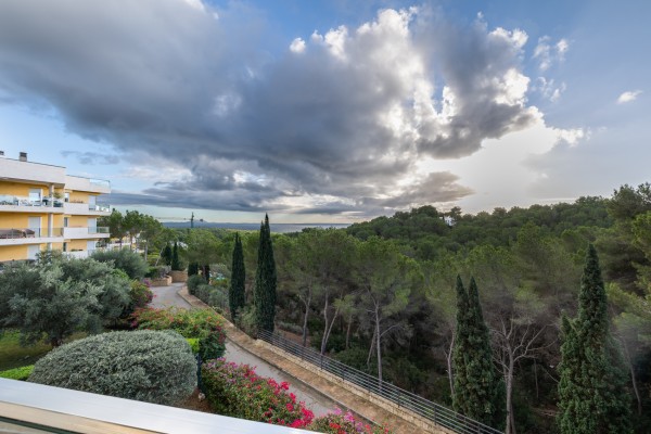 Piso con 2 habitaciones en venta en Sol de Mallorca