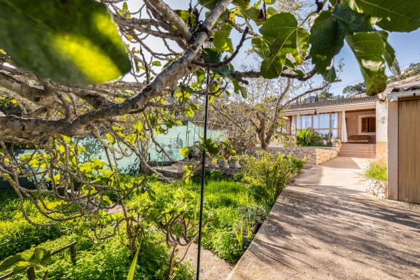 Urban Plot with Dual Access in Palma’s Coveted Génova Area