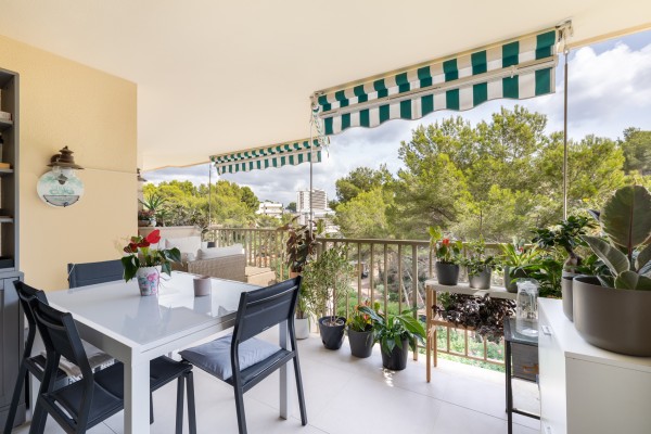 Mediterranes Wohnen in erster Meereslinie – Cala Vinyes