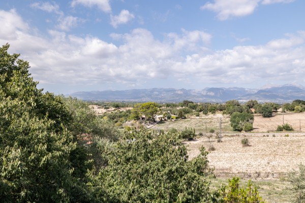 Finca con establo de caballos en Costitx