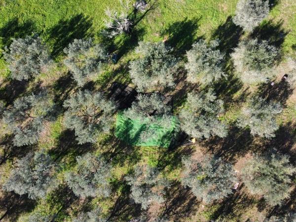 Очаровательная загородная финка на участке 27 000 м² в Костиче