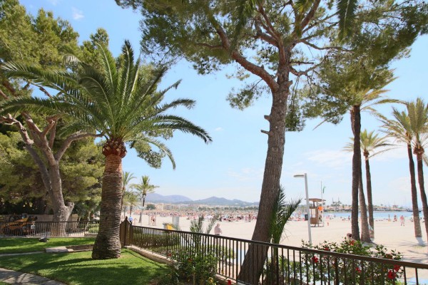 2-bedroom flat on the seafront in Port d'Alcudia