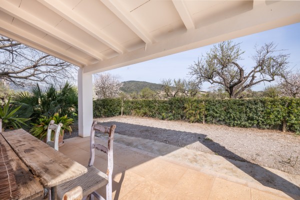 Mallorcan finca with holiday rental licence (6), pool and 25,000 m² near Lloseta