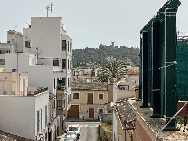 Renovated Duplex Penthouse with Private Roof Terrace in Son Espanyolet