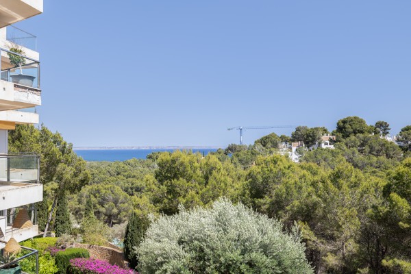 Bright apartment with sea views and great potential in Floresta de Mar