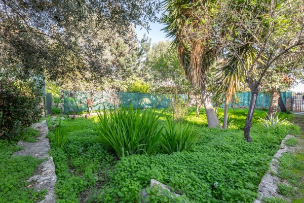 Urban Plot with Dual Access in Palma’s Coveted Génova Area